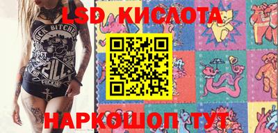 PSILOCYBIN Кулебаки