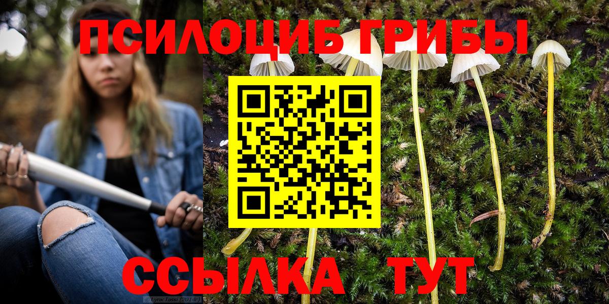 Псилоцибиновые грибы ЛСД  Вход с VPN  Галлюциногенные грибы GOLDEN TEACHER  Чапаевск 