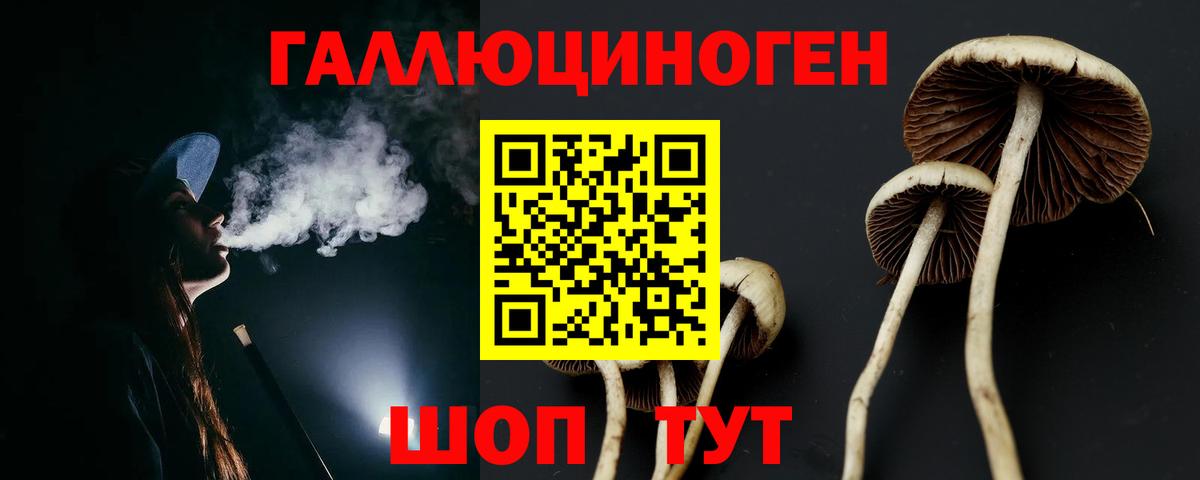 Псилоцибиновые грибы MAGIC MUSHROOMS Чапаевск